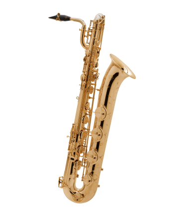 S.Baritono SIII Goldmessing GG