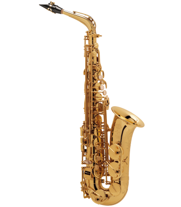 S.Alto SA80/II Goldmessing GG