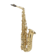 Saxo Alto SELES AXOS Lacado